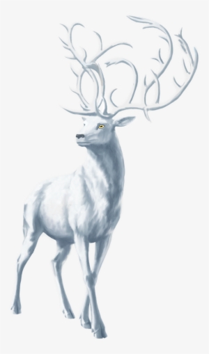 Elk