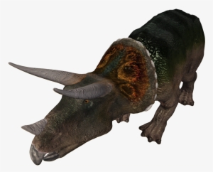 Triceratops B1 V1 E1424962798125 - Triceratops