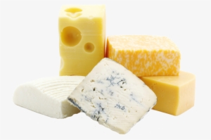 Cheese - Food