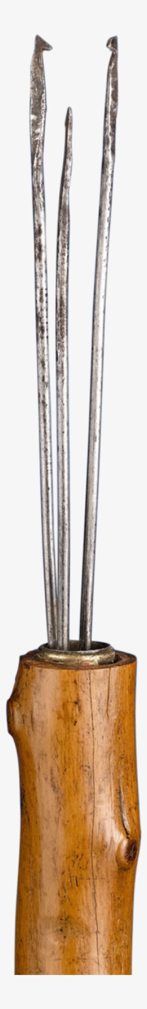 Fishing Spear Cane - Fishing