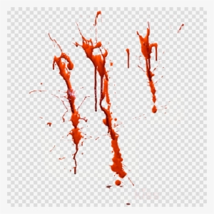 Clipart Resolution 1794*2243 - Png Picsart Editor