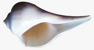 On The Occasion Of Lord Krishna's Birthday On 25th - Wooden Spoon