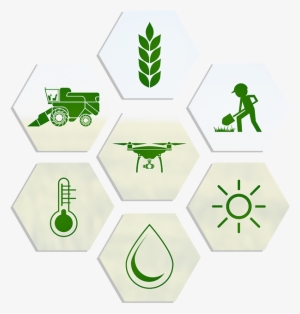 Register Now - Buff Monkey / Rascal