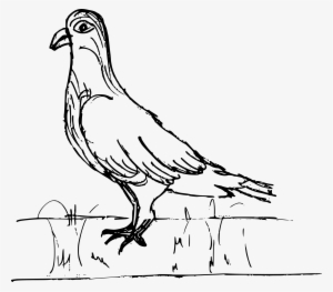 Free Download - Drawing