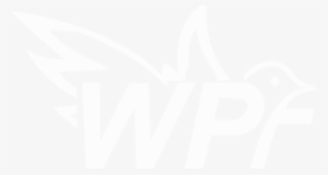 White Pigeon Films Is One Of India's Fastest Growing - White Pigeon Films