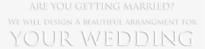 Wedding-text - Carnicerias El Jarocho