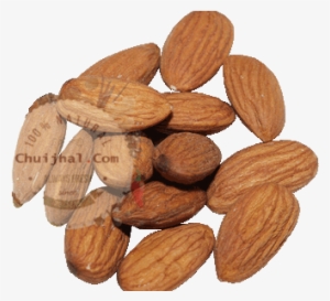 Almonds Kath Badam 3 - Almond