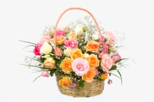 Sympathy - Rakhi And Dairy Milk