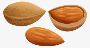Almond Clipart File - Nut Clipart