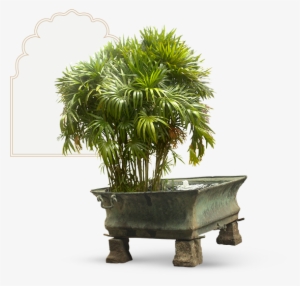 The Badam Chowk Is One Of The Two Principal Courtyards - Flowerpot