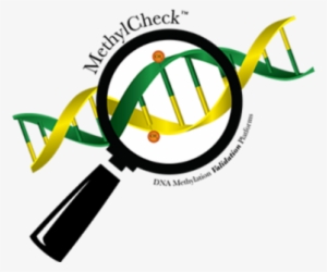 Benefits Of Using The Methylcheck™ Service Methylcheck - 5-methylcytosine