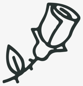 Https - //pub-static - Haozhaopian - Net/assets/stickers/