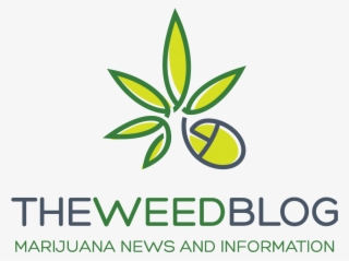 Weed Blog Marijuana News And Information