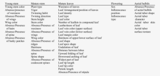 Yam Morphological Descriptors At Different Growth Stages - Yam