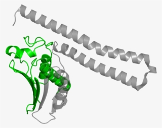 <div Class='caption-body'>1 Copy Of Pfam Domain - Dystrophin Structure