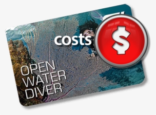 The Good News Is That How Much You Will Spend Learning - Water