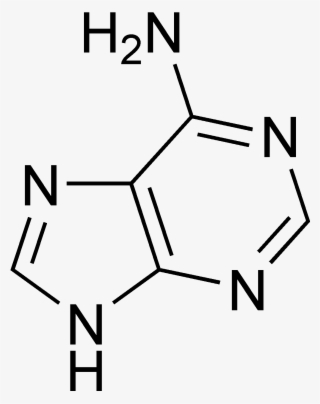 Adenine Chemical Structure