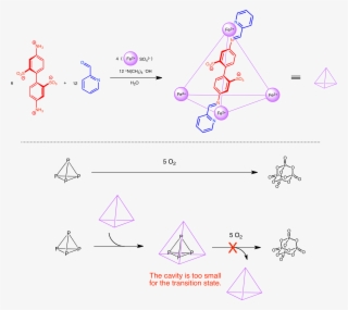 Nitschke Iron Cage Protect White Phosphorous - Supramolecular Catalysis
