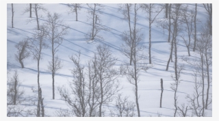 Welcome To Rok Stoves - Multi-fuel Stove