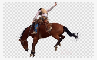 Download Rodeo Bucking Bronco Clipart Horse Bronco - Rodeo Horse