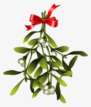 Mistletoe Christmas Wish