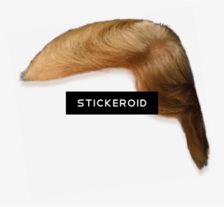 Donald Trump Hair Side View - Lace Wig