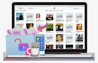 Free Trial Free Trial Free Trial Free Trial - Vlc Media Player