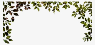 Sustaining Beauty - Davines