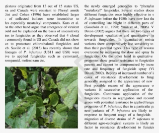 Symptoms Of Late Blight Disease On Potato Foliage - Potato Late Blight Fungus