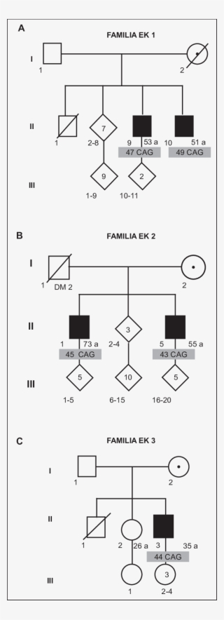 Heredogramas De Tres Familias Que Muestran Cinco Individuos - 3 Familias