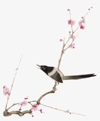 El Pájaro Elementos En Las Ramas - Bird-and-flower Painting