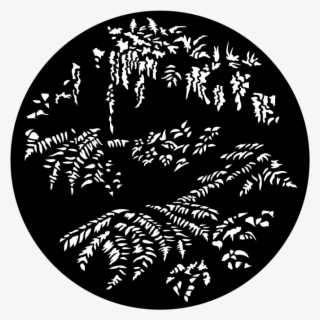 More Views - Waterford Fc