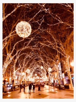 How To Shoot Outdoor Christmas Light Backgrounds - Christmas Lights