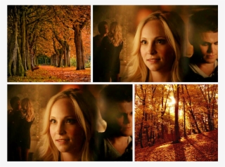 0 Replies 2 Retweets 0 Likes - Various Artists / Favourite Classics Volume 1