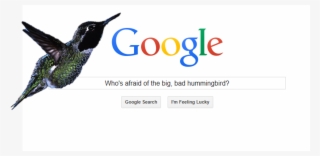 Will The Google Hummingbird Update Hurt Or Help Your - Google Chrome Os Management Console - Licence