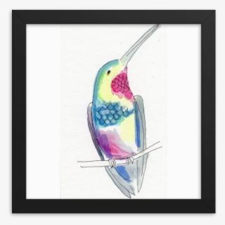 Hummingbird C Jbethmann 2018 Mockup Transparent Transparent