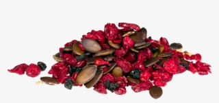 Pumpkin Berry Munch - Dhariwal, India