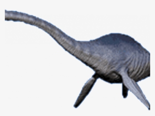 Sea Monster Clipart Transparent Background - Sea