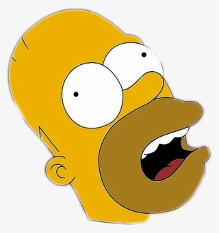 Thesimpsons Simpsons Homersimpson Derp Derpface Spiderp - The Simpsons ...