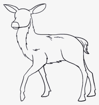 How To Draw A In Few Easy - Draw Deer
