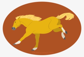 Palomino Horse - Horse