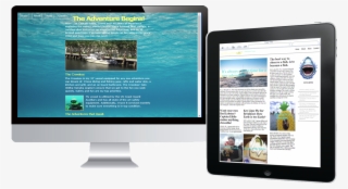 The 'about' Page And 'newsletter' I Designed And Developed - Online Advertising