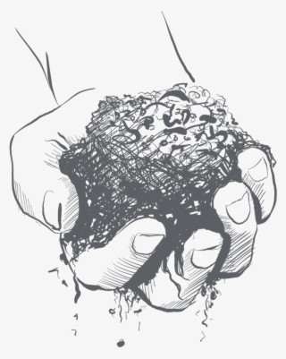 The Organic Process - Sketch