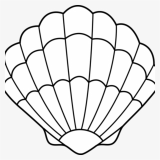 Jpg Download Seashell Thanksgiving Hatenylo Com Lineart - Cartoon Sea Shell