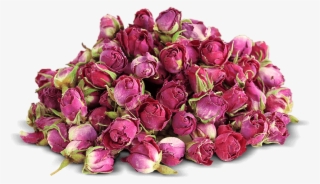 Bouton De Rose Séchée