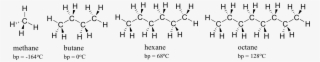 Image138 - Lipid Molecule