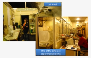 Old Lab 3 Facility - Interior Design