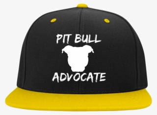 Pit Bull Advocate - Nissan Gtr Stc19 Sport-tek Flat Bill High-profile Snapback