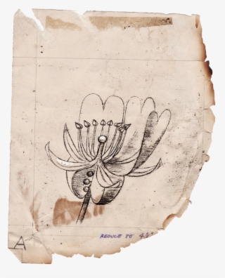 In 2011 Jon Lys Turner Found Himself The Unexpected - Archive