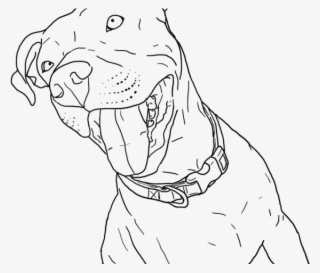 Drawn Pitbull Realistic - Coloring Pages Pitbull